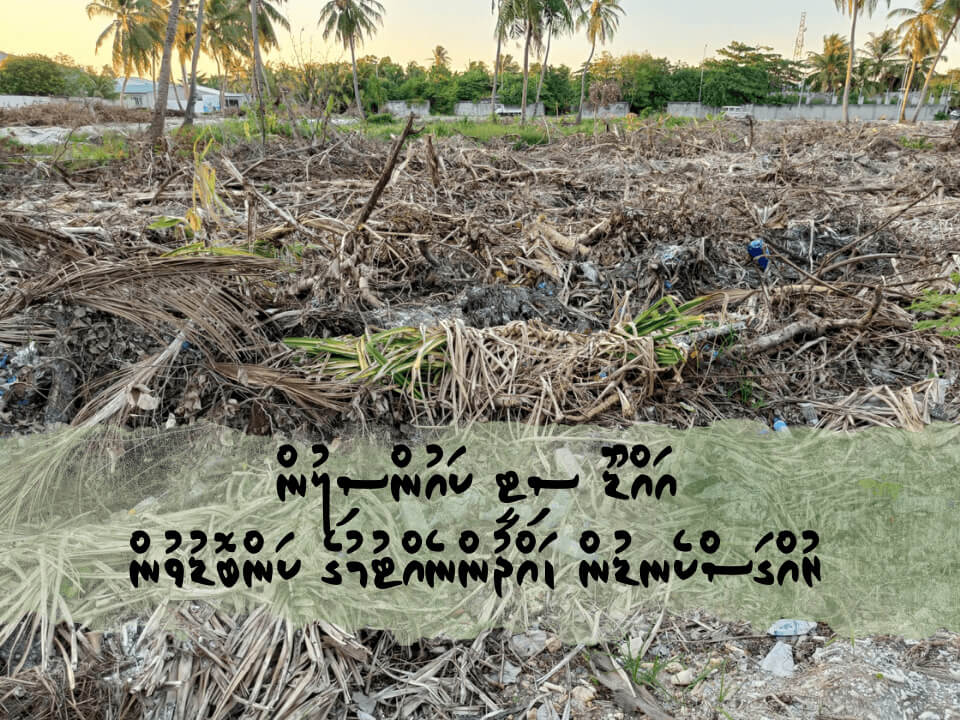 Unchecked Deforestation in Addu City