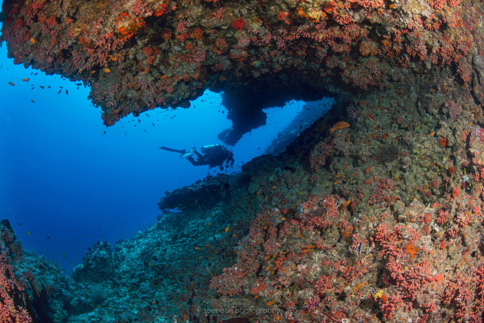 Beyond 30 Meters - Mohamed Seeneen (Maldives diving tragedy) cave