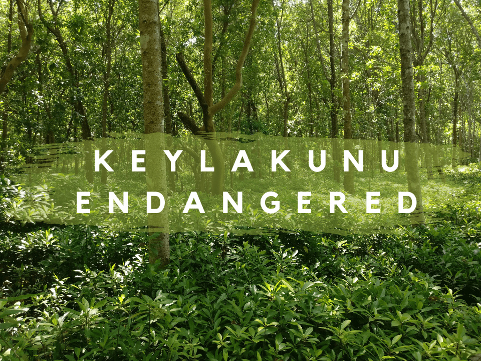 Declare HDh Keylakunu as Nature Reserve