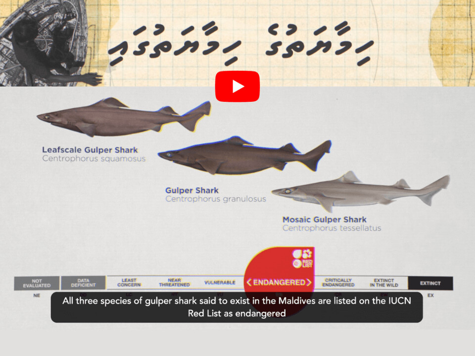 Himaayathuge Himaayathugaa – Defending Protection