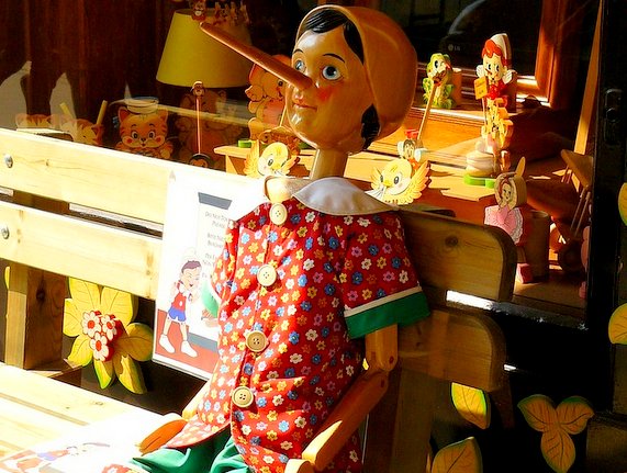 LIARS sea turtle poaching Maldives