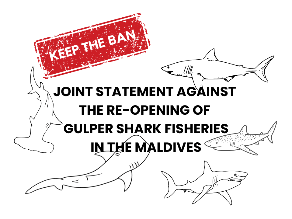 We Are Against the Re-opening of Gulper Shark Fisheries