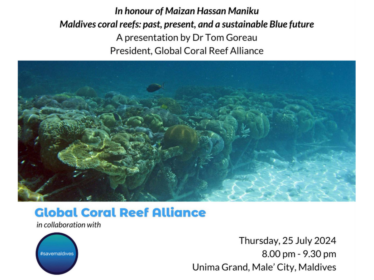 Maldives Coral Reefs