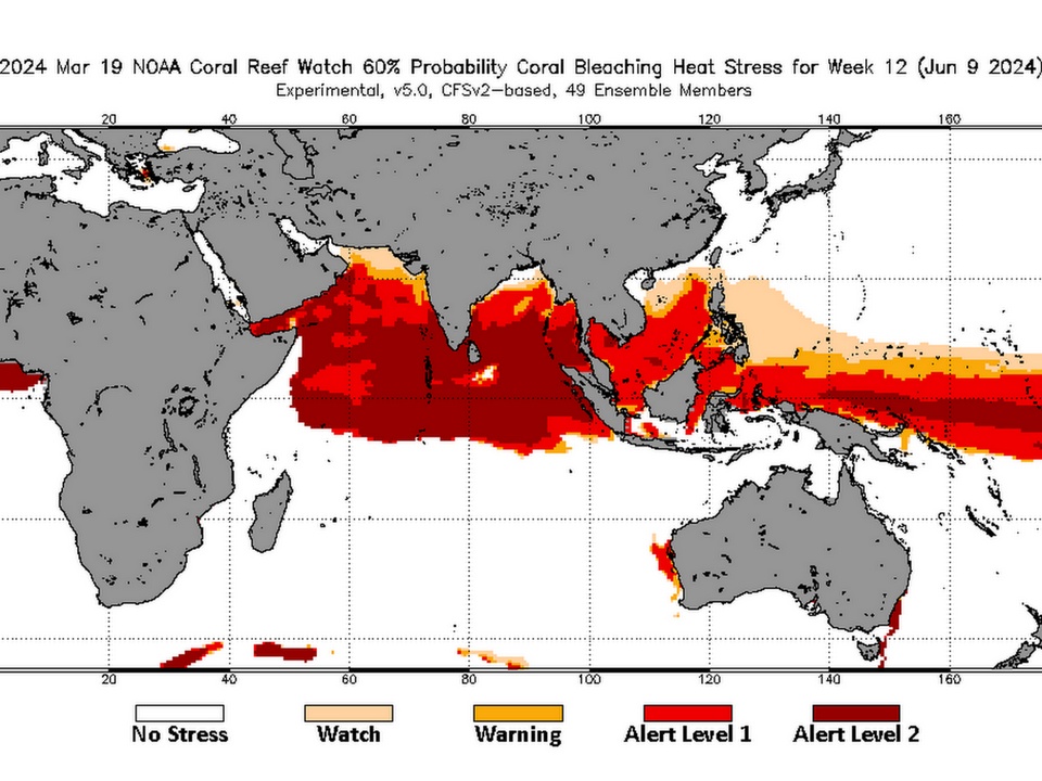 CORAL BLEACHING ALERT: Government Must Stop All Marine Dredging