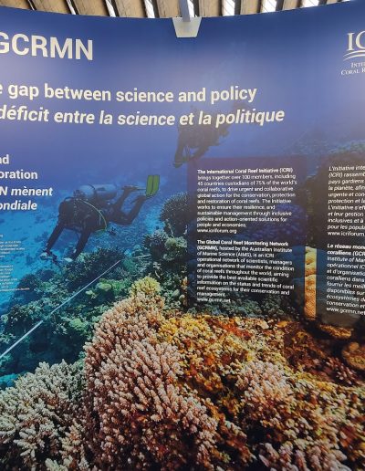 Save Maldives at UNOC3 France - venue