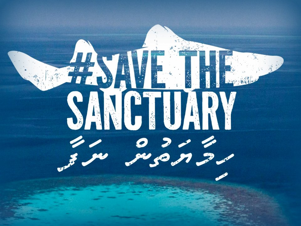 Maldives Shark Sanctuary Endangered