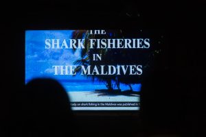 SaveMaldives save the sharks video screening