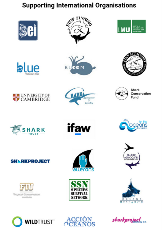 Shark fisheries keep the ban Shark fisheries keep the ban