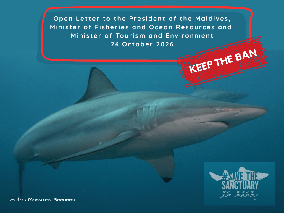 Save The Shark Sanctuary