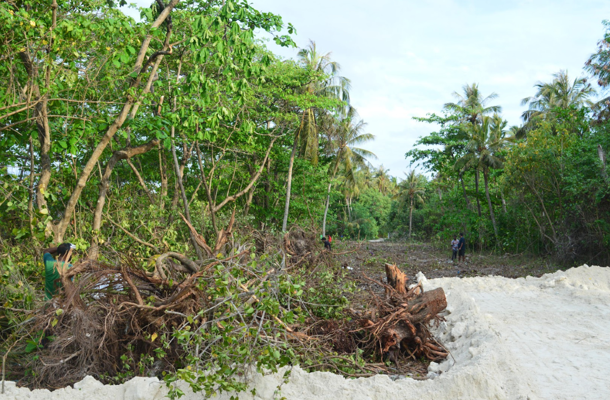 Tree felling Kulhudhuffushi #SaveMaldives [May 2023]